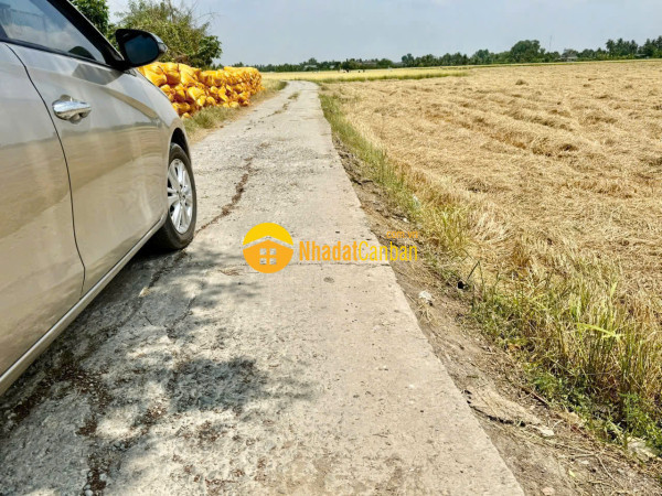 Bán nền thổ cư 5x30 mt đan 4m 1 xẹt nguyễn văn thọ vào 70m đường thông tại xã nhựt tảo tỉnh tây ninh